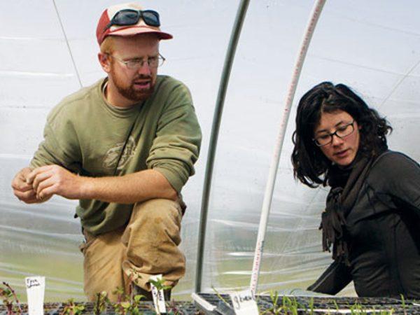 From left, Aaron Munzer ’08 and Kara Cusolito ’08 tend seedlings on their farm in Hector, N.Y. The couple is offering CSA shares this summer.
