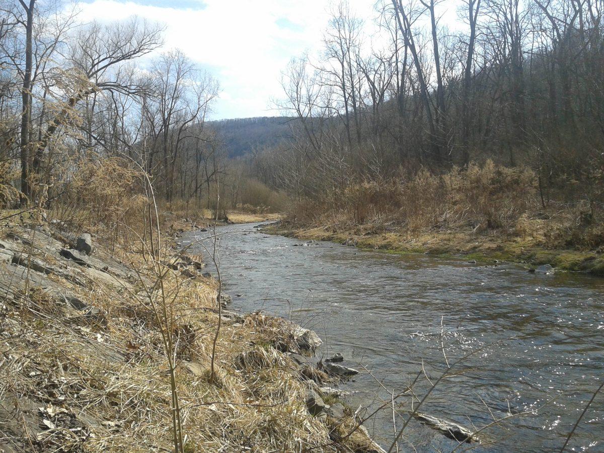 Trout run begins throughout the Finger Lakes