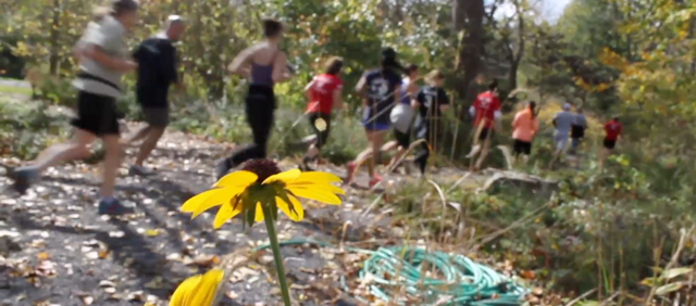 Cornell running tours spread knowledge and protect environment