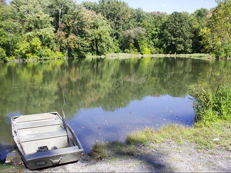 Team of locals begin hand pulling Hydrilla from Fall Creek