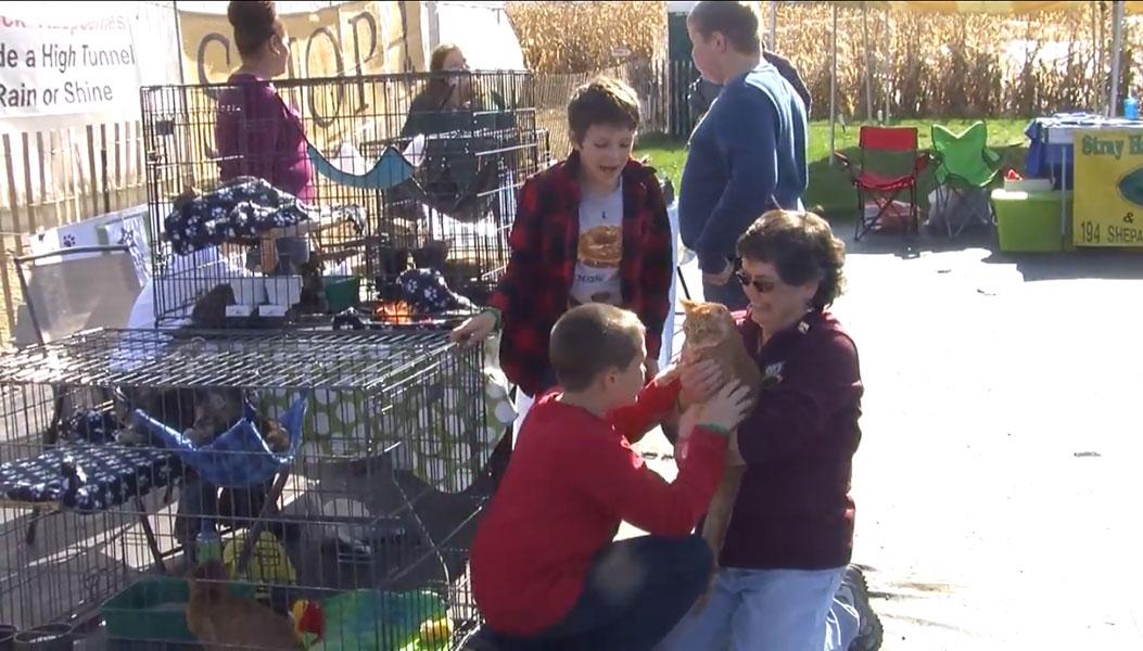 Families are introduced to local shelters pets at Stoughton Farm.