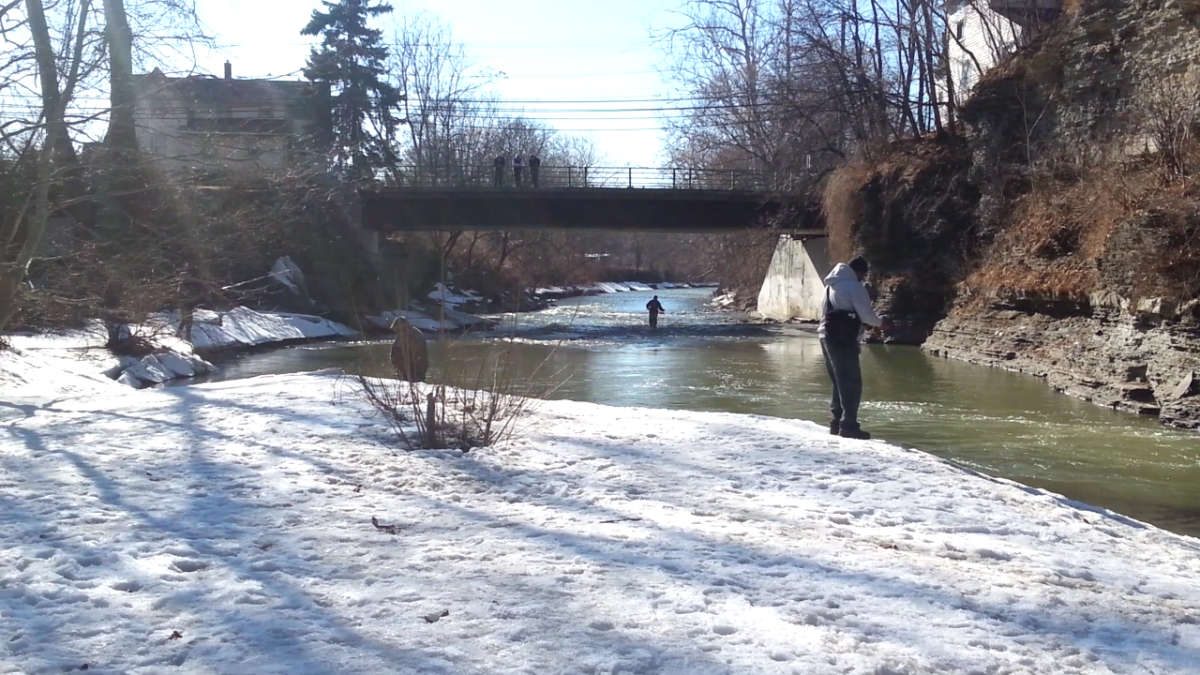 Locals join in on the opening day fishing festivities at the Ithaca Falls Natural Area. 