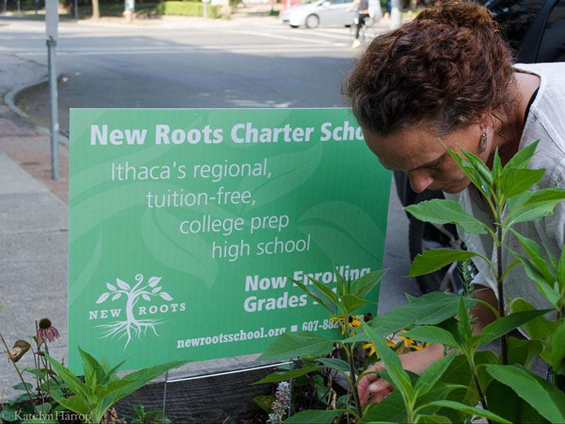 Rebecca Cutter, New Roots Charter School’s Community Learning and Outreach Coordinator, tends to the gardens outside the school on Cayuga Street. She, with several others at the school, worked to develop an agriculture and sustainability certification program for students.
