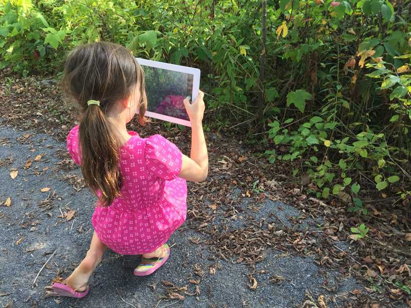 Charlotte Groat, a second grader at Caroline Elementary School, uses an iPad to take a photo of plants on the nature trail. Photo: Olivia Cross
