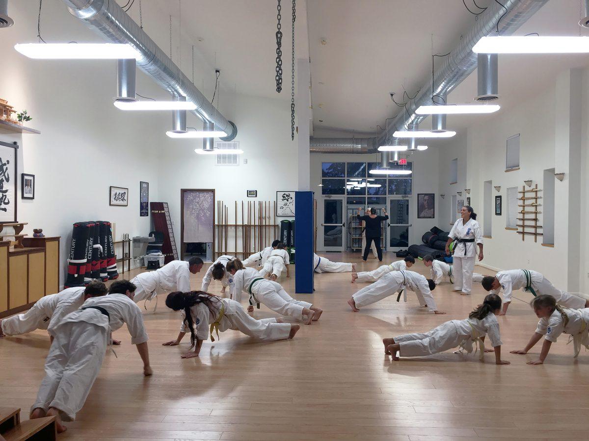 Local+karate+dojo+caters+to+students+of+all+backgrounds