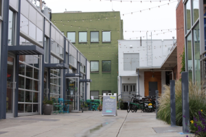 Press Bay Alley is where the festival was mainly located last year. Now, the entire downtown area will be transformed. 