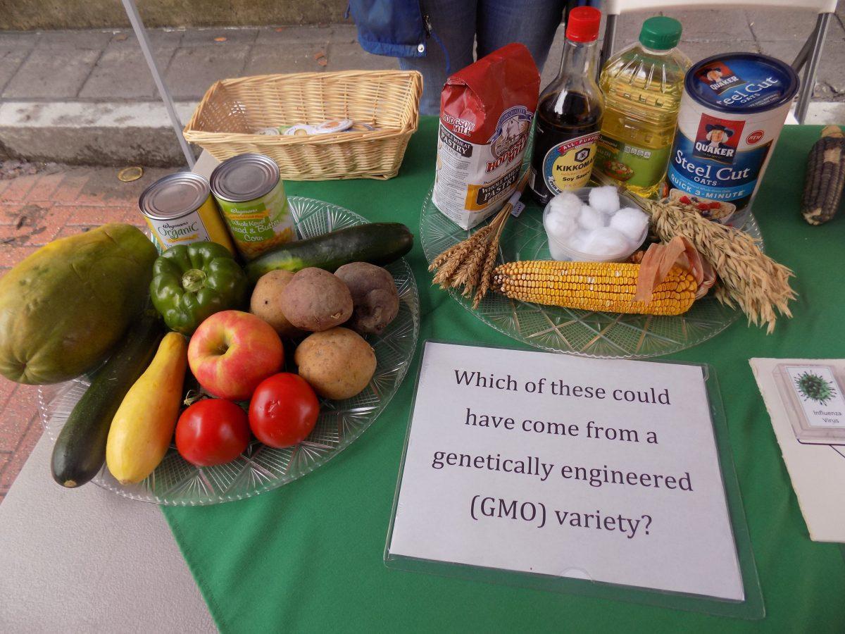 Agricultural festival brings sustainability to Ithaca