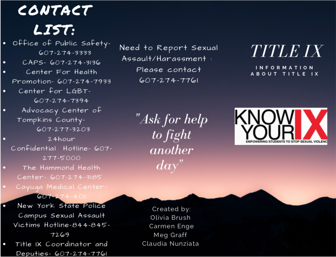 Title IX informational brochure created by Ithaca College students 