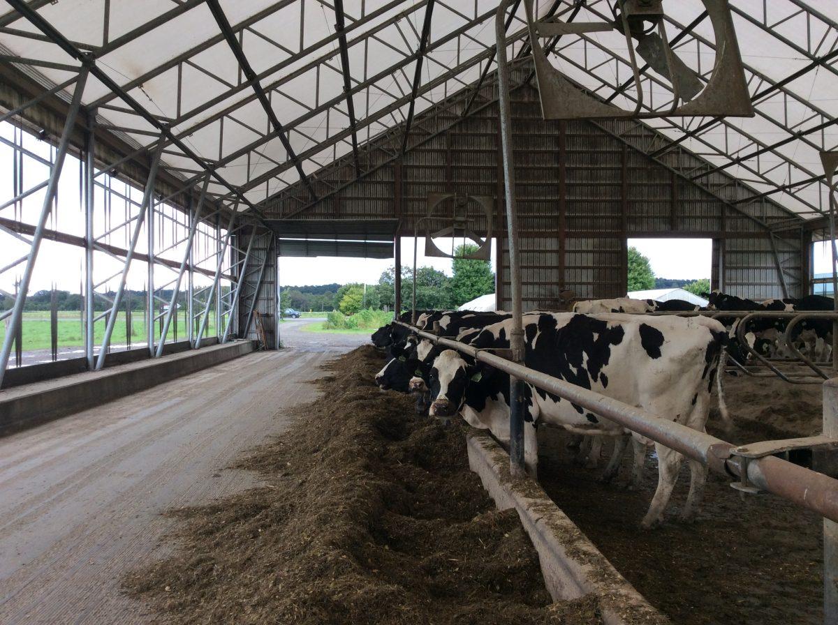 Dairy Farms Deal with Changing Regulation of Manure Disposal