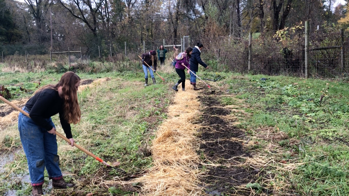 Organic Farm Becomes Fertile Training Ground for Students