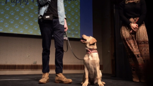 Saxbie with her raiser on stage at the Puppy Fashion Show, held March 8 in Emerson Suites. (Emily Cartwright/Ithaca Week)