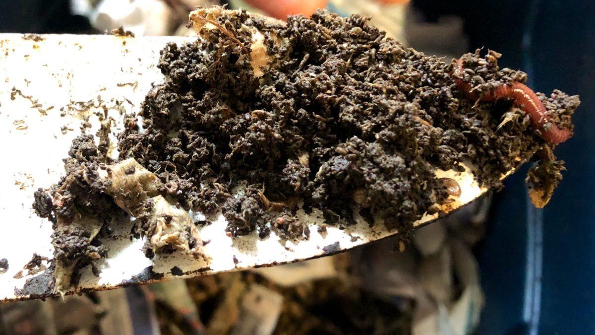 Digging into Vermicomposting at Cornell Cooperative Extension