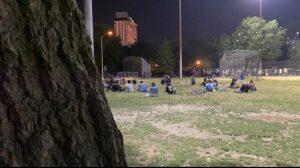 photo taken from behind a tree to see the group sitting on the floor from a distance