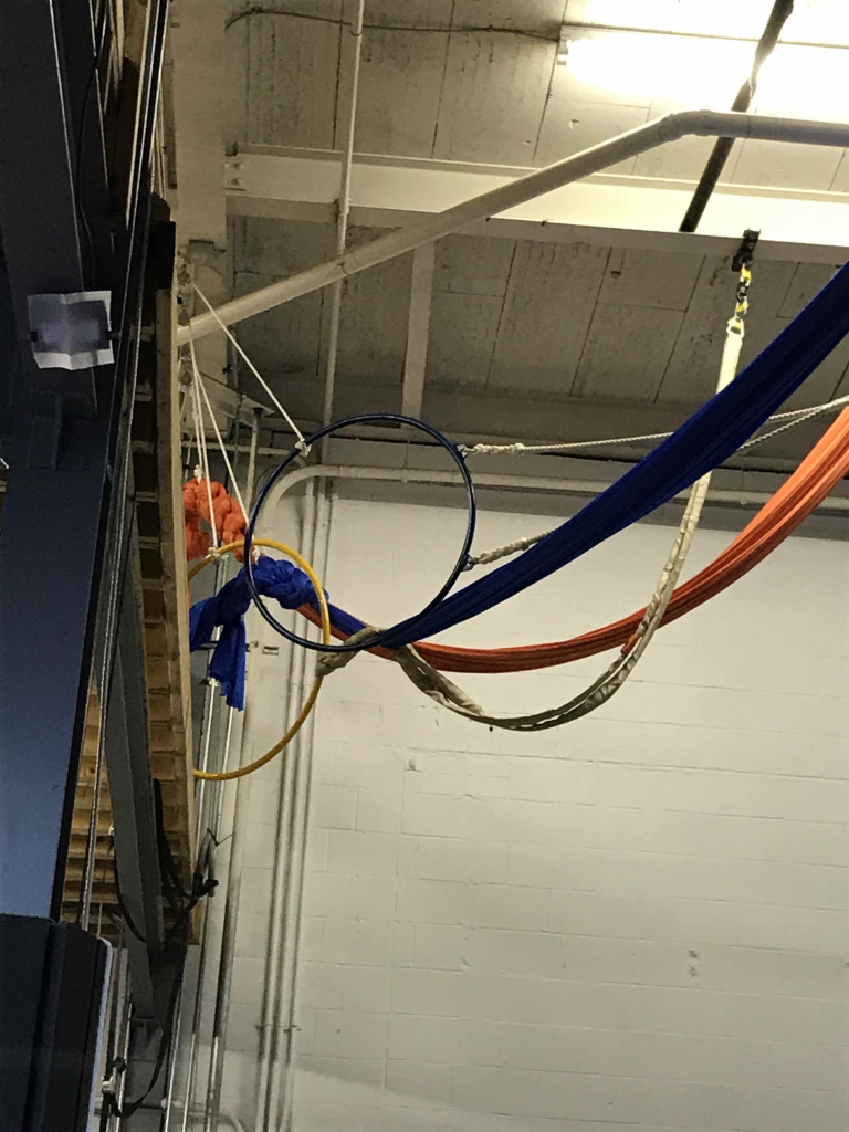 Hoops and silks hang from the ceiling, waiting for flight. These are just a couple of many indications that this is not a typical workout facility. Photo by Olivia King/Ithaca Week.