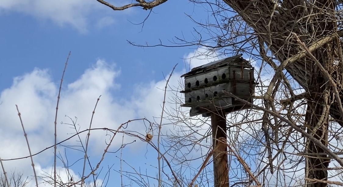 The picture shows a birdhouse. Birdhouses throughout Stewart Park provide habitat for birds. Setting up birdhouses is one of the projects the Conservation Action Committee does to help bird populations. /Photo: BRIDGET HAGEN