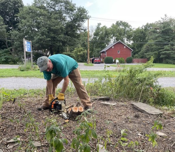 A man bends over a tree stump to cut it down further with a chain saw.