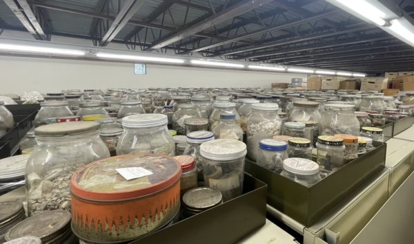 Hundreds of jars are in boxes near the ceiling of a basement sitting on top of large filing cabinets 