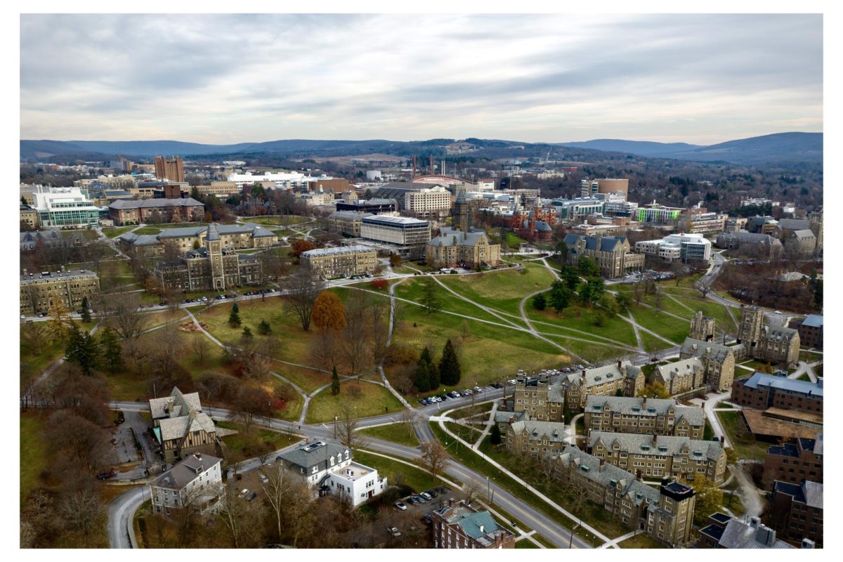 Ithaca, N.Y. from above