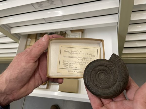 two hands hold a fossil and the box with a piece of paper in it that holds the fossil