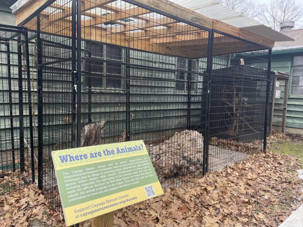 a sign reading "where are all the animals?" is in the foreground with an empty animal enclosure behind it