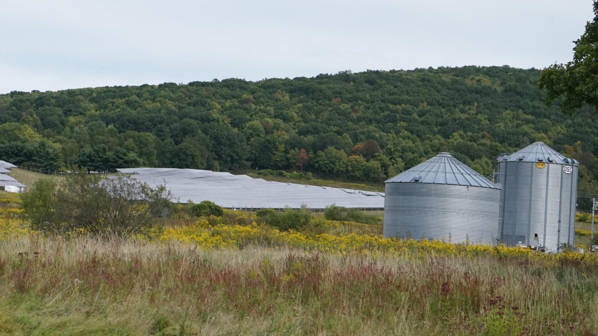 On farms across New York, solar energy sparks a fierce debate between profit, principle and preserving the land that feeds communities.