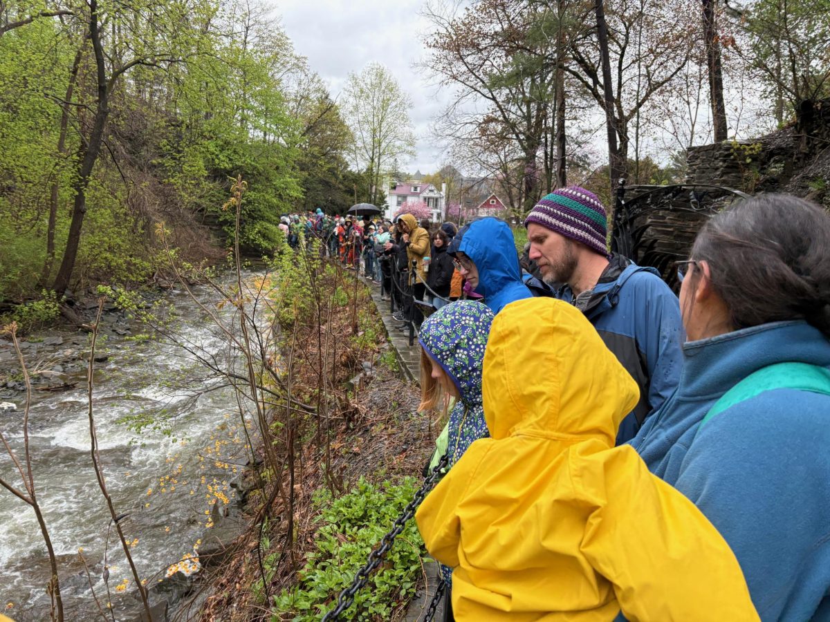 The 4H Duck race has become a community tradition that draws hundreds of people to watch the ducks flow down Cascadilla Creek.